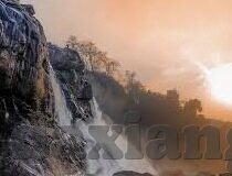 大象传媒视频网站下载-探索大象传媒视频网站下载的便捷性与合法性